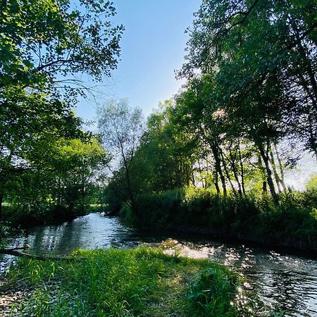 Le Heron - Gite De Charme Cloture, Acces A La Riviere - 6 Ou 10 Personnes Fauvillers Eksteriør billede