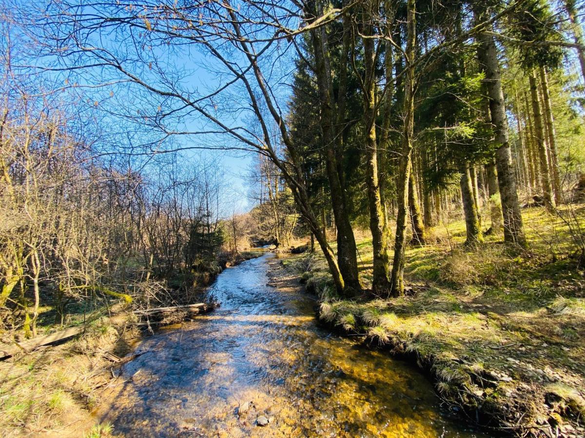 Le Heron - Gite De Charme Cloture, Acces A La Riviere - 6 Ou 10 Personnes Fauvillers Eksteriør billede