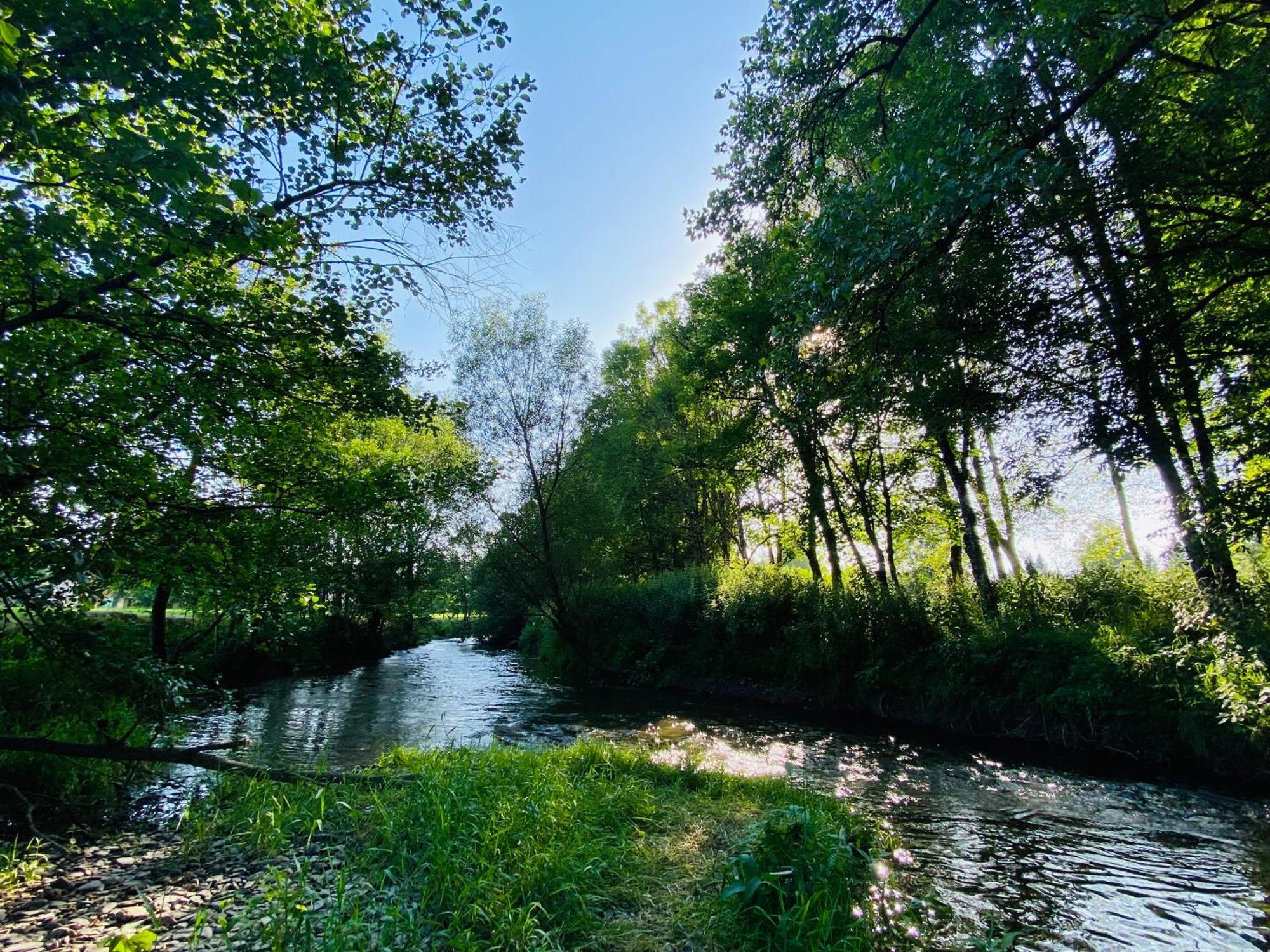 Le Heron - Gite De Charme Cloture, Acces A La Riviere - 6 Ou 10 Personnes Fauvillers Eksteriør billede